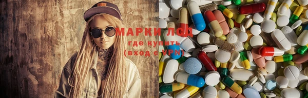 эйфоретик Аркадак