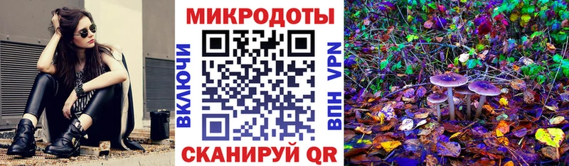 Псилоцибиновые грибы Psilocybe  блэк спрут ссылки  Сокол  купить  